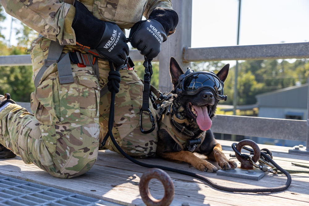 MARSOC’s Multi-Purpose Canines Practice Fast-Roping