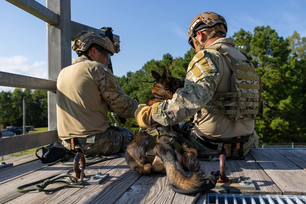 MARSOC’s Multi-Purpose Canines Practice Fast-Roping