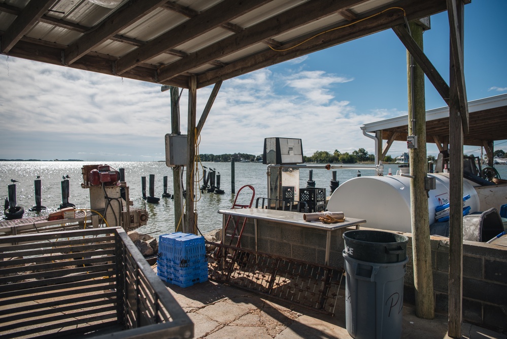 U.S. Army Corps of Engineers awards $40 million contract for Chesapeake Bay restoration project