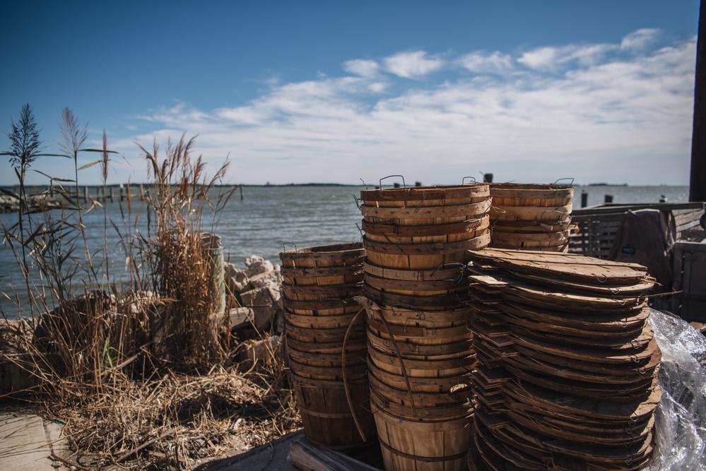 U.S. Army Corps of Engineers awards $40 million contract for Chesapeake Bay restoration project