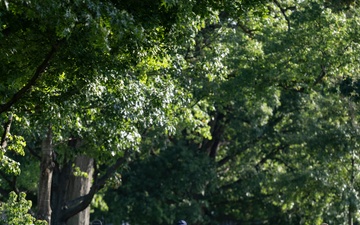 2024 Fall Memorial Arboretum Walking Tour