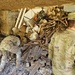 Screaming Eagles fix a fence and remove wreckage for a local citizen