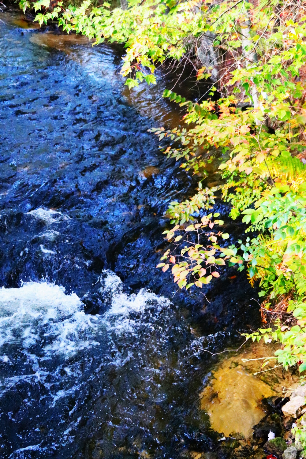 Fort McCoy's Pine View Campground