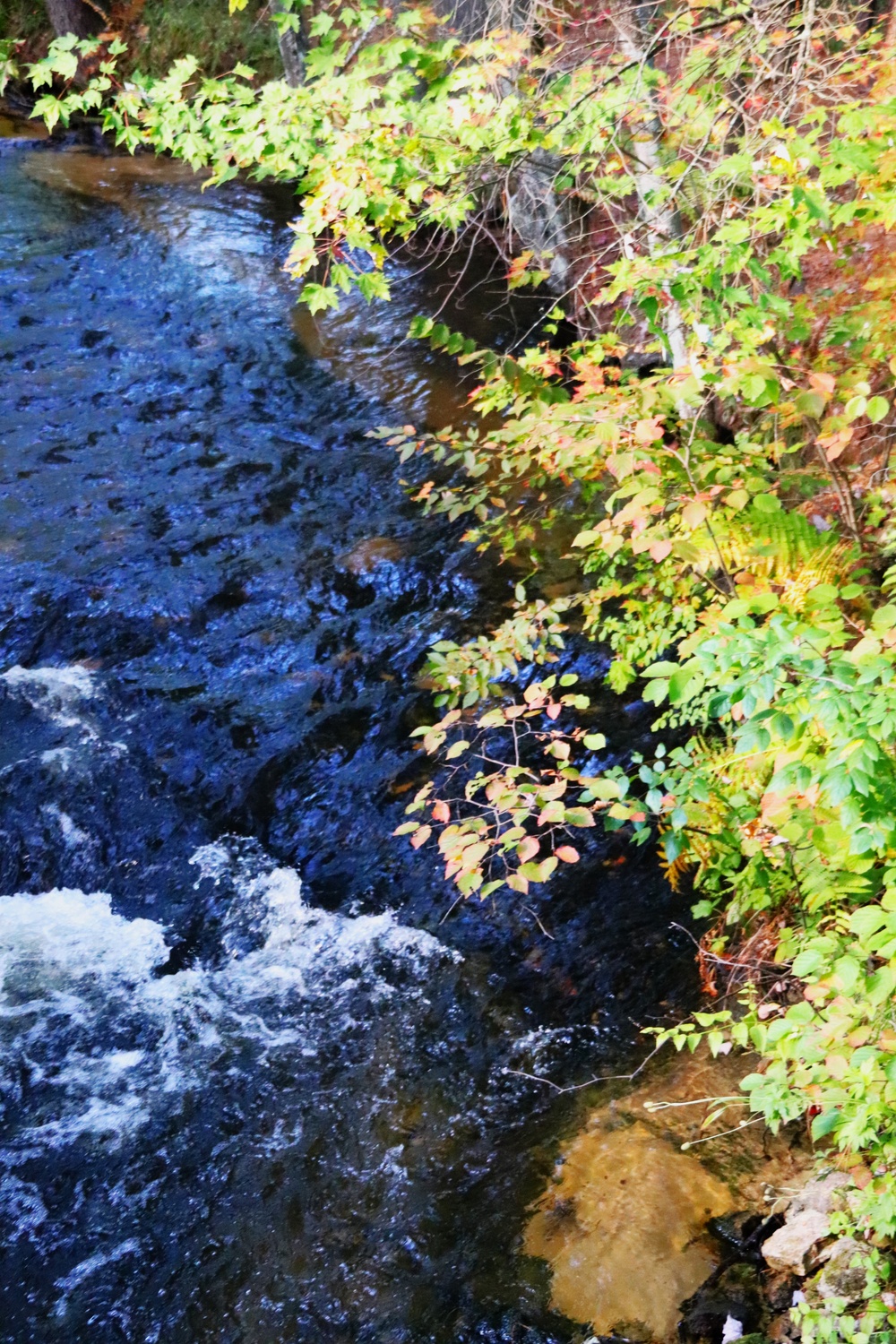 Fort McCoy's Pine View Campground