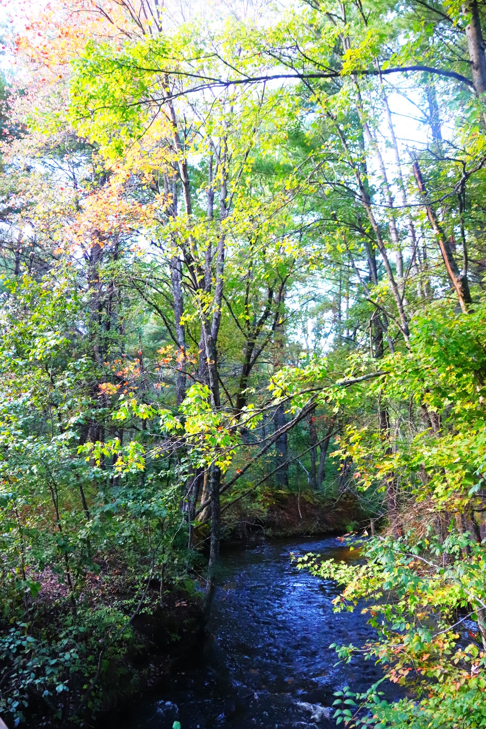 Fort McCoy's Pine View Campground