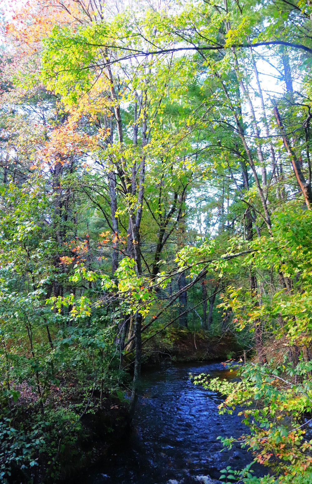 Fort McCoy's Pine View Campground