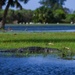 Hurricane Milton sweeps Patrick Space Force Base at Category 1 strength