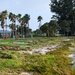 Hurricane Milton sweeps Patrick Space Force Base at Category 1 strength