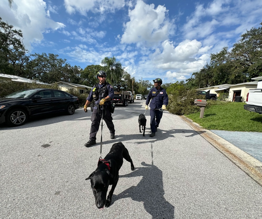 FEMA Urban Search and Rescue Conducts Assessments After Hurricane Milton