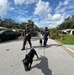 FEMA Urban Search and Rescue Conducts Assessments After Hurricane Milton