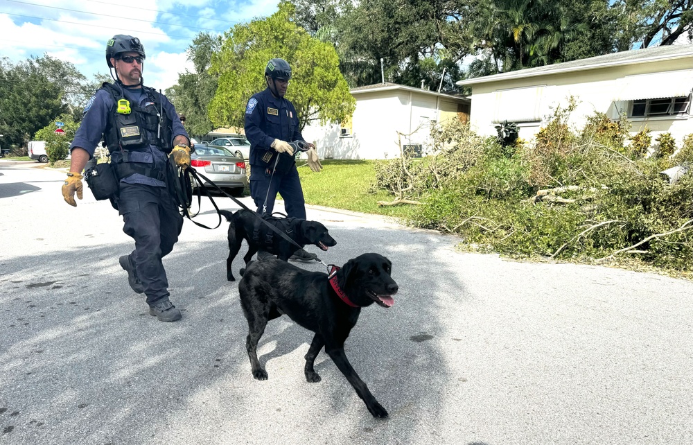 FEMA Urban Search and Rescue Conducts Assessments After Hurricane Milton