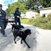 FEMA Urban Search and Rescue Conducts Assessments After Hurricane Milton