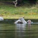 VMI becomes first ROTC program to participate in Exercise Cambrian Patrol, secures bronze standard