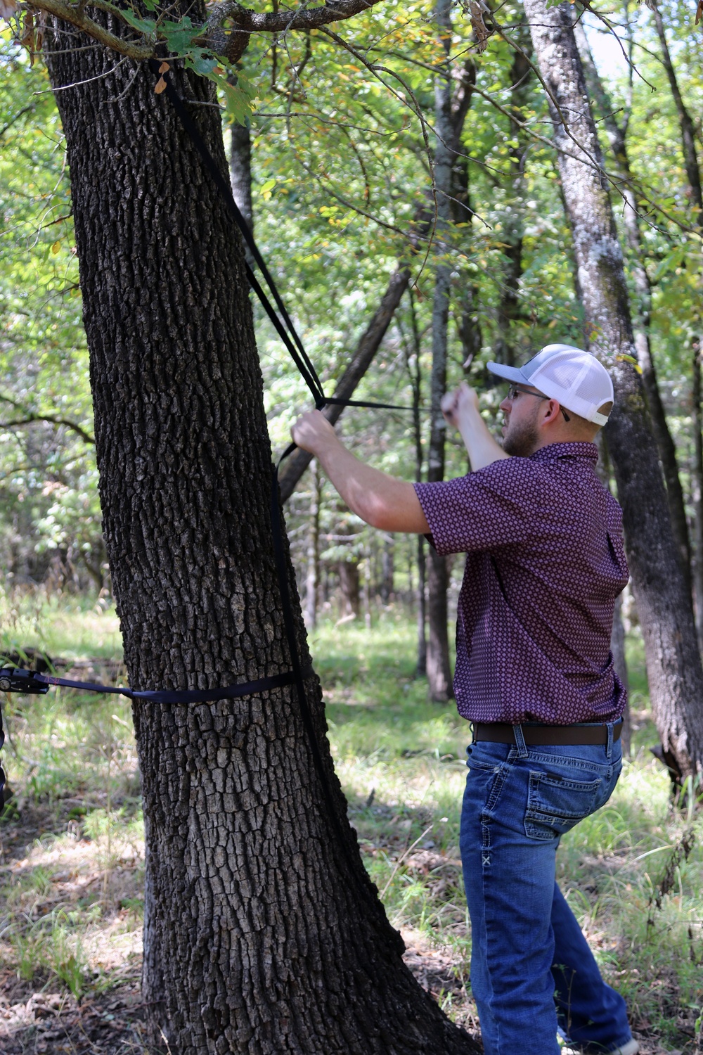 Elevating Safety: Essential Tips for Tree Stand Use