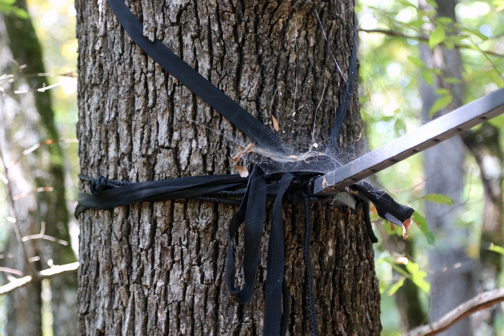 Elevating Safety: Essential Tips for Tree Stand Use