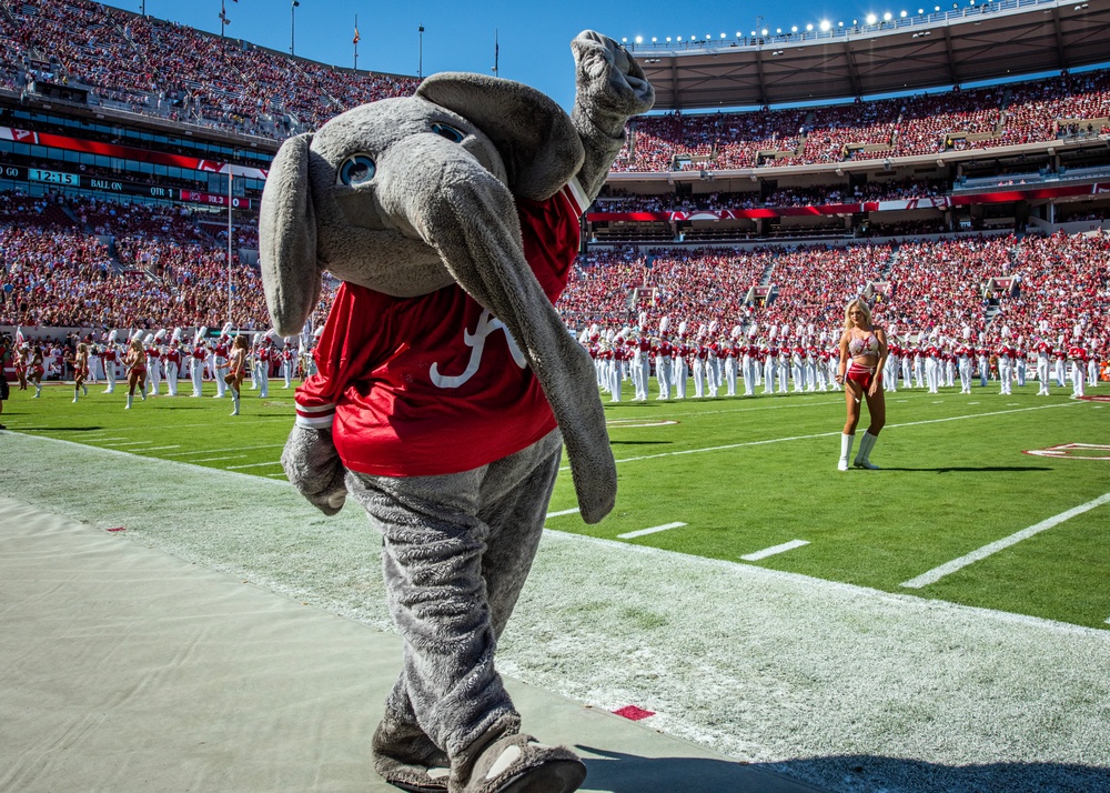 South Carolina Army National Guard, performs a flyover for the Alabama vs. South Carolina football game