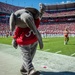 South Carolina Army National Guard, performs a flyover for the Alabama vs. South Carolina football game