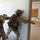 Norwegian Close Quarters Battle Training Exercise