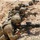 Norwegian Close Quarters Battle Training Exercise