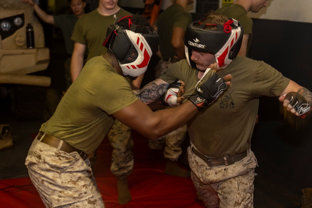 24th MEU (SOC) Conducts MAI Course Culminating Event