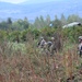 Peace Keeping Training DV Day