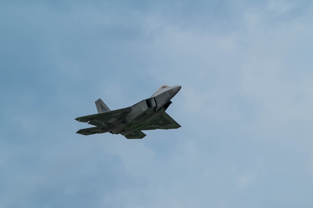 Raptors and Falcons nest at Kadena