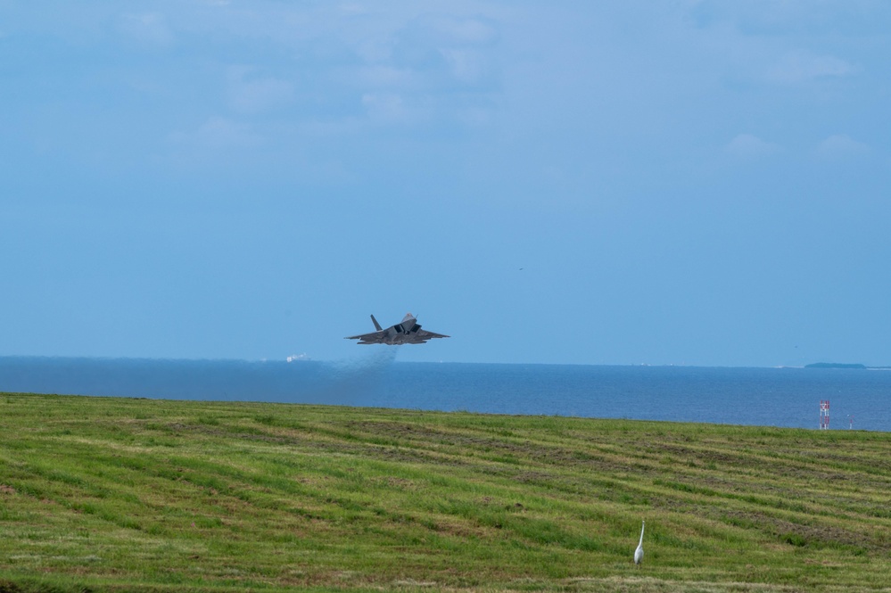 Raptors and Falcons nest at Kadena