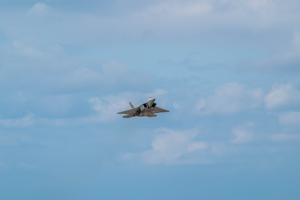 Raptors and Falcons nest at Kadena