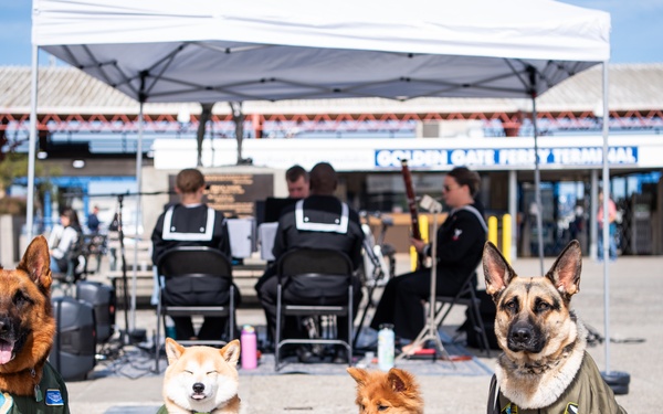 Navy Band Southwest's Prevailing Winds Quintet performs at the SF Ferry Building