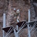 U.S. military members participate in French Desert Commando Course