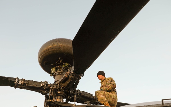 Iron Wolf exercise underscores multinational force collaboration and interoperability