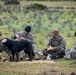 2nd Battalion., 7th Marine Regiment enjoying company with local dog during Exercise UNITAS 2024