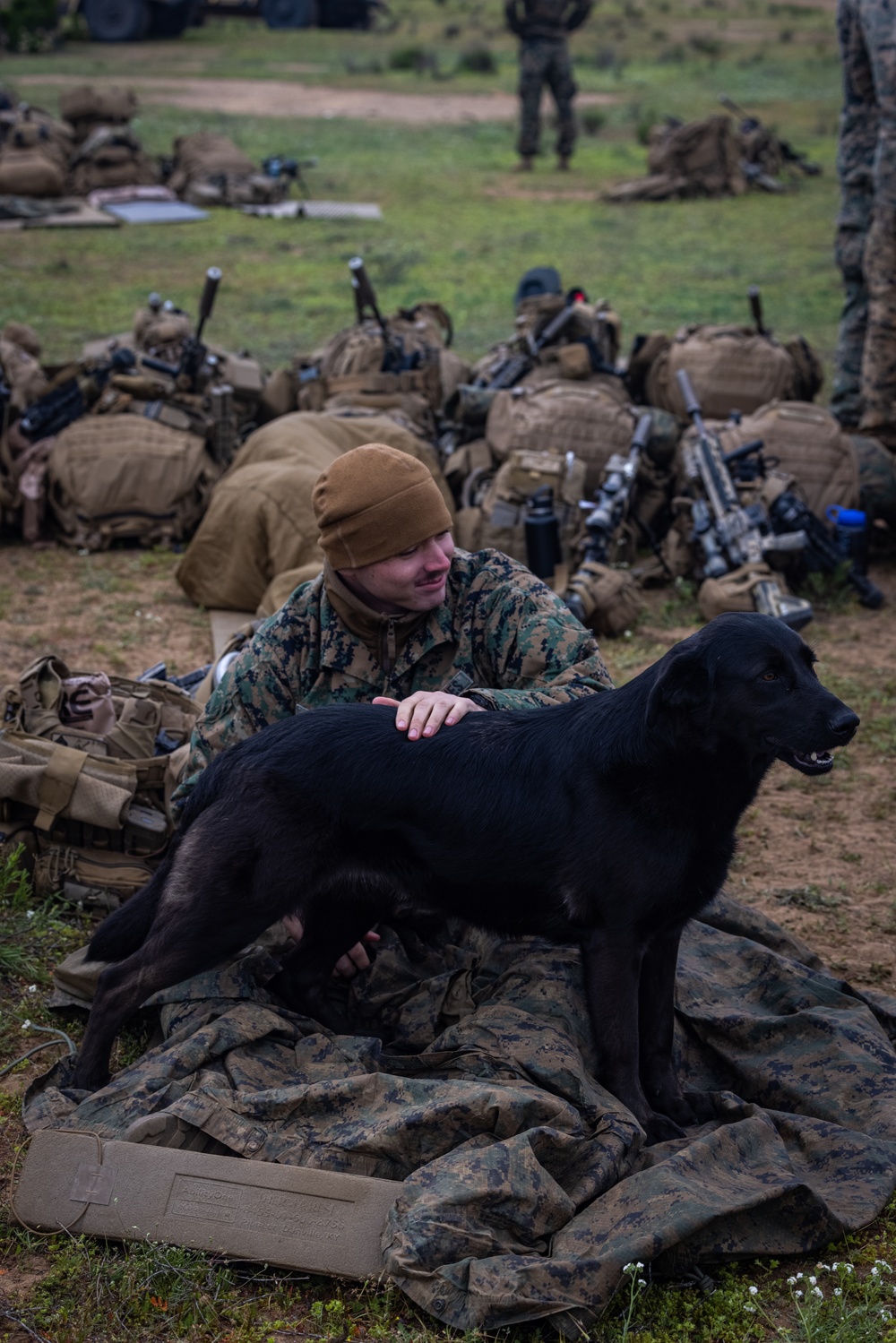 2nd Battalion., 7th Marine Regiment enjoying company with local dog during Exercise UNITAS 2024