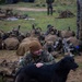 2nd Battalion., 7th Marine Regiment enjoying company with local dog during Exercise UNITAS 2024