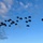 Arctic Angels conduct largest airborne operation into Alaska part of Arctic Aloha