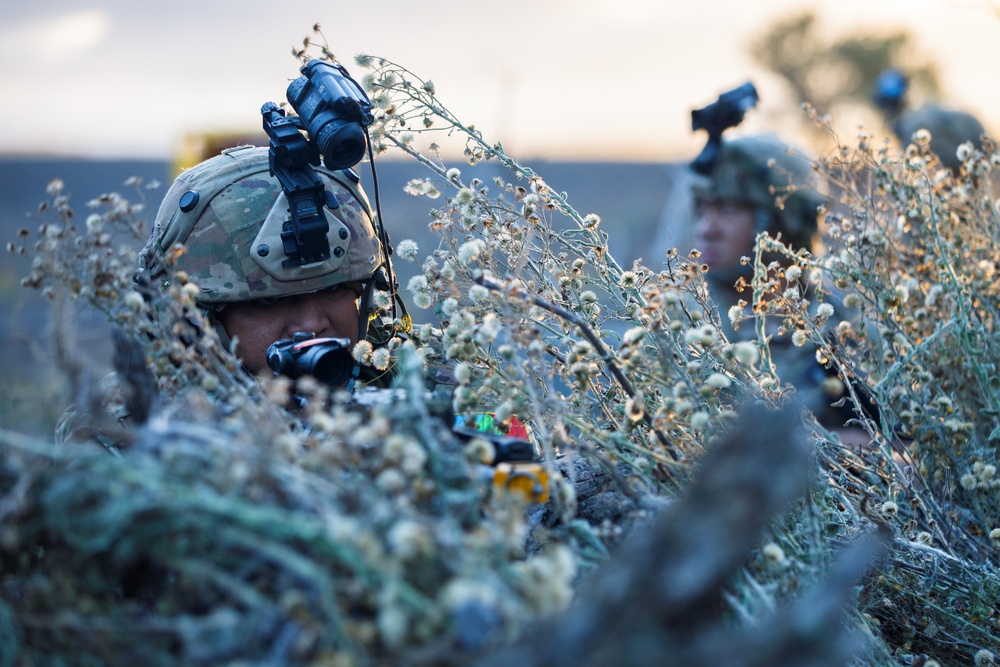 100th BN 422nd IN REGT Soldiers defend the night