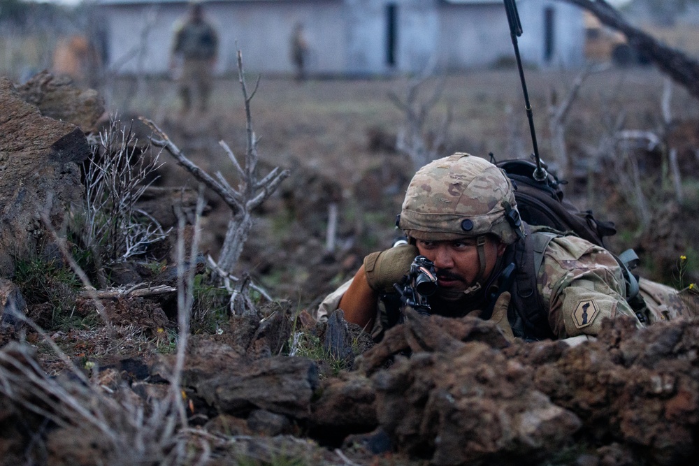 100th BN 422nd IN REGT Soldiers defend the night