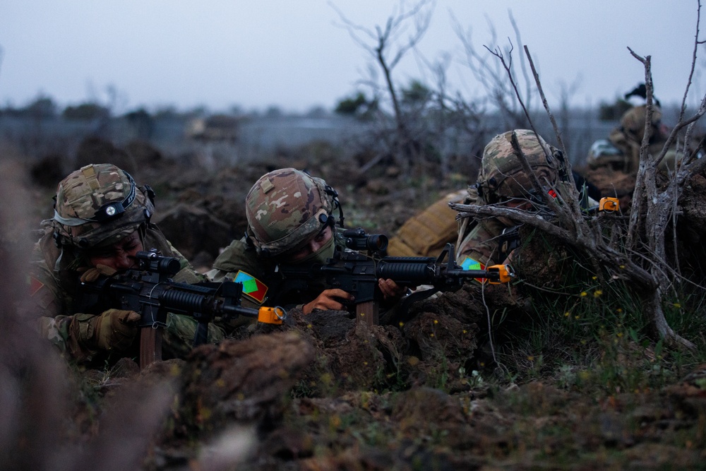 100th BN 422nd IN REGT Soldiers defend the night