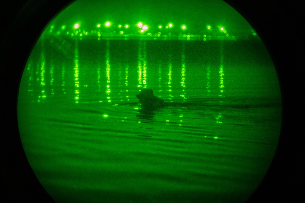 1st Bn., 7th Marines participates in scout swimmer course