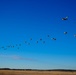 2nd IBCT, 11th Airborne Division completes their final jump over Alaska during Arctic Aloha