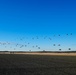 2nd IBCT, 11th Airborne Division completes their final jump over Alaska during Arctic Aloha