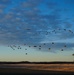 2nd IBCT, 11th Airborne Division Jumps back into Alaska to complete the final jump for Arctic Aloha