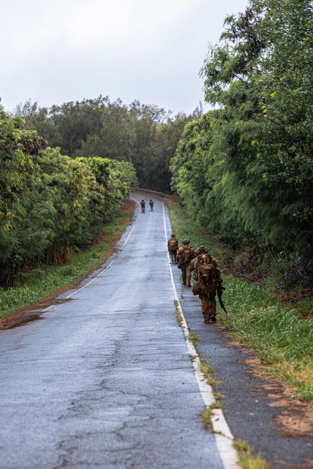 1-21, 2-27 Train with Allies, Partners During JPMRC 25-01