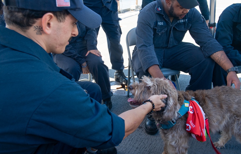 American Red Cross Brings Emotional Therapy Dogs to USS Rushmore (LSD 47)