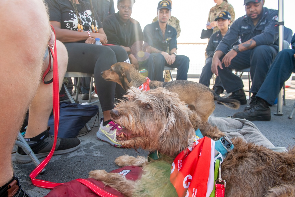 American Red Cross Brings Emotional Therapy Dogs to USS Rushmore (LSD 47)