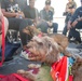 American Red Cross Brings Emotional Therapy Dogs to USS Rushmore (LSD 47)