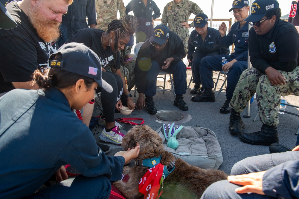 American Red Cross Brings Emotional Therapy Dogs to USS Rushmore (LSD 47)