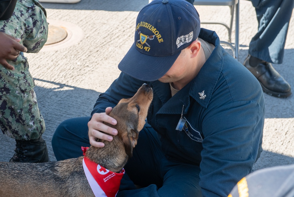 American Red Cross Brings Emotional Therapy Dogs to USS Rushmore (LSD 47)