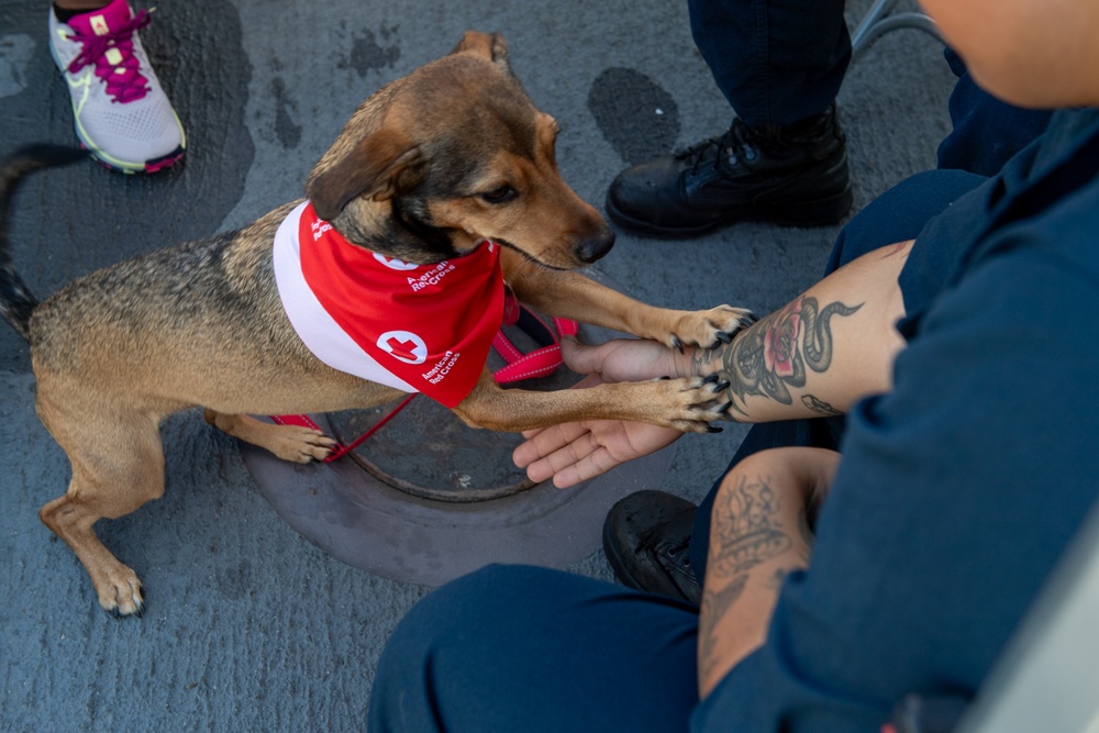 American Red Cross Brings Emotional Therapy Dogs to USS Rushmore (LSD 47)