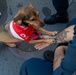 American Red Cross Brings Emotional Therapy Dogs to USS Rushmore (LSD 47)